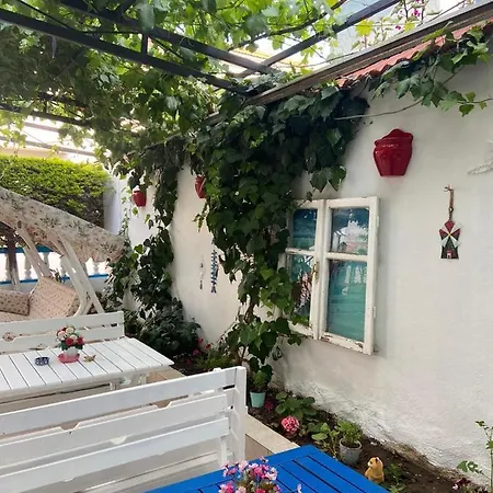 Nese Cesme